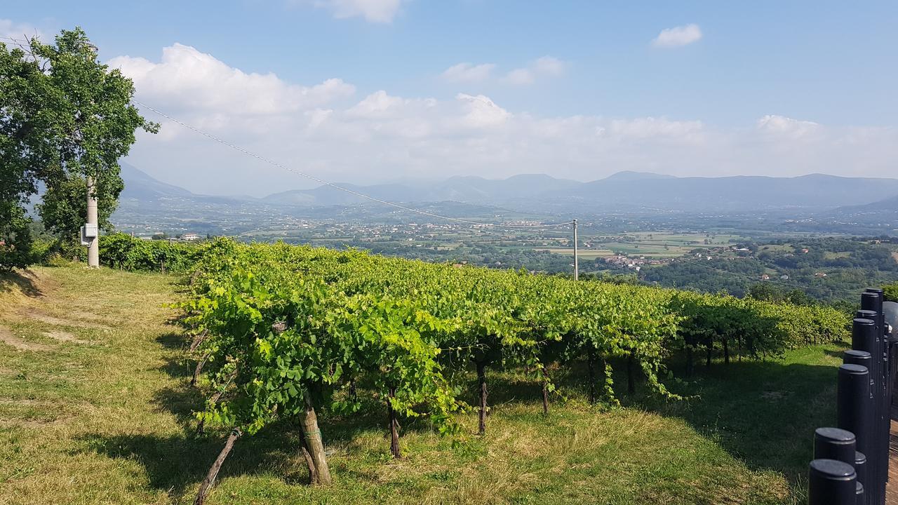 Lisandro Wine Resort Apartments Caserta Castel Campagnano Exterior photo