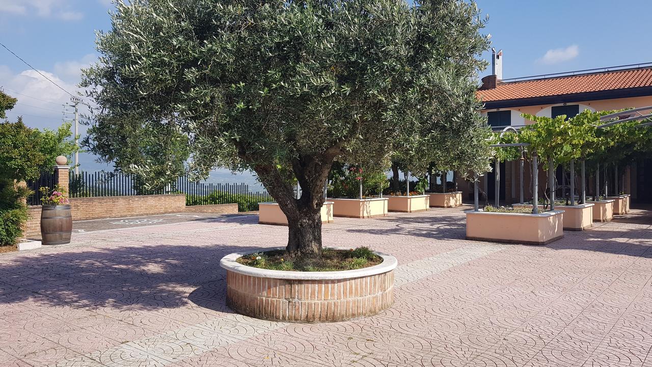 Lisandro Wine Resort Apartments Caserta Castel Campagnano Exterior photo