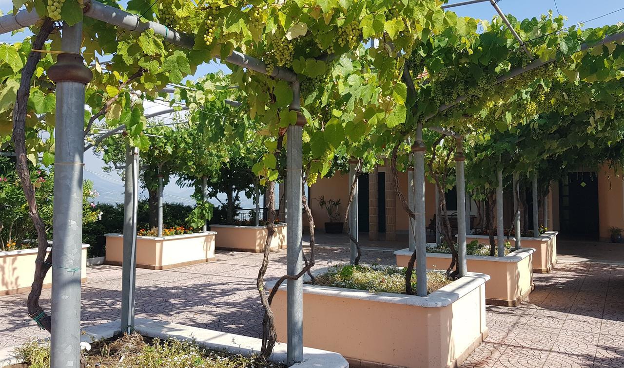 Lisandro Wine Resort Apartments Caserta Castel Campagnano Exterior photo