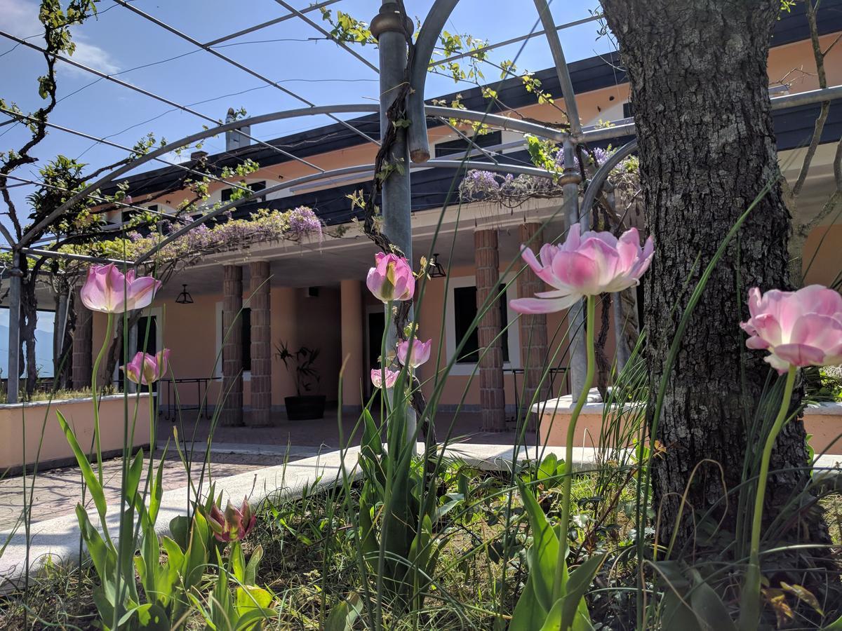 Lisandro Wine Resort Apartments Caserta Castel Campagnano Exterior photo